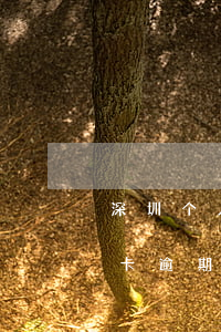 深圳个人信用卡逾期修复公司(深圳个人信用卡逾期修复公司有哪些)