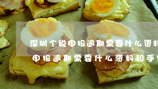 深圳个税申报逾期需要什么资料-深圳个税申报逾期需要什么资料和手续