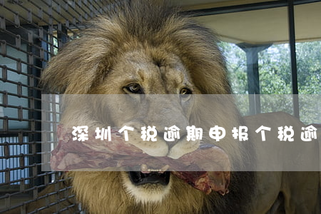 深圳个税逾期申报(个税逾期如何申报)