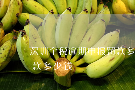 深圳个税逾期申报罚款多少 个税逾期申报罚款多少钱