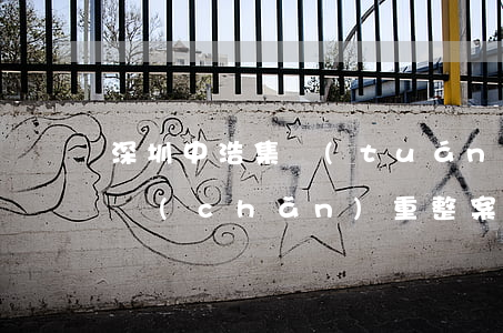 深圳中浩（集團(tuán)）股份有限公司破產(chǎn)重整案