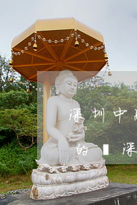 深圳中融小貸逾期說(shuō)起訴是真的嗎(深圳中融小貸是哪個(gè)平臺(tái))