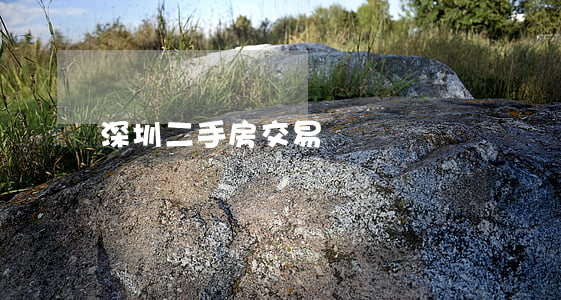 深圳二手房交易稅費