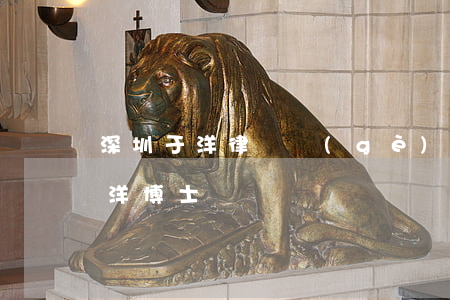 深圳于洋律師個(gè)人資料(北京律師于洋博士)