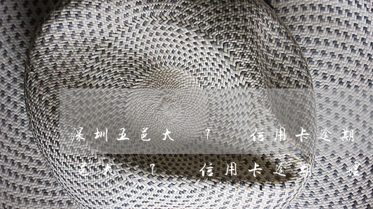 深圳五邑大廈7樓信用卡逾期處理-深圳五邑大廈7樓信用卡逾期處理電話