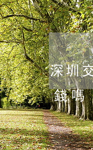 深圳交通諒解書多少錢(交通諒解書怎么寫賠錢嗎)