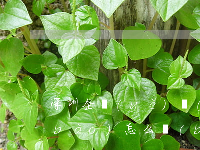 深圳企業(yè)個(gè)稅逾期申報(bào)怎么補(bǔ)報(bào)-深圳企業(yè)個(gè)稅逾期申報(bào)怎么補(bǔ)報(bào)的
