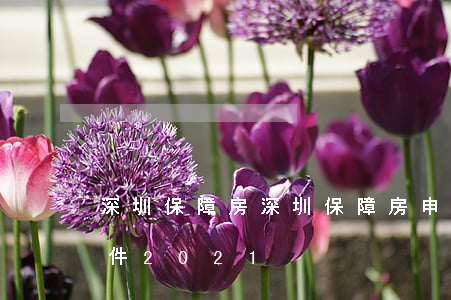 深圳保障房(深圳保障房申請(qǐng)條件2021)