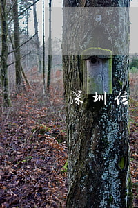 深圳信用卡利息(深圳信用卡利息)