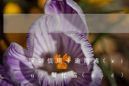 深圳信用卡逾期協(xié)商機構(gòu)(幫忙協(xié)商信用卡逾期的機構(gòu)真的有用嗎?)