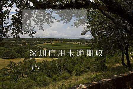 深圳信用卡逾期收費標準-深圳市信用卡中心