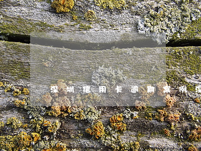深圳信用卡逾期案例(深圳信用卡逾期案例)