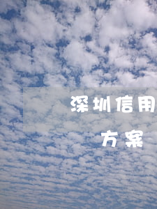 深圳信用卡逾期解決方案(深圳信用卡逾期解決方案電話)