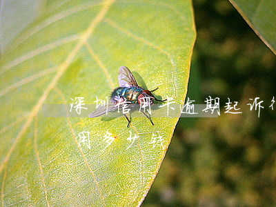 深圳信用卡逾期起诉律师(欠信用卡请律师费用多少钱)