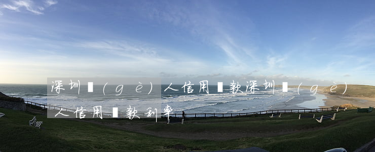 深圳個(gè)人信用貸款(深圳個(gè)人信用貸款利率)