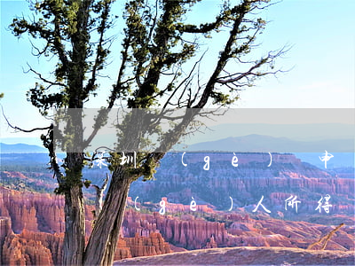 深圳個(gè)稅申報(bào)逾期(深圳個(gè)人所得稅逾期申報(bào)需要去哪里申報(bào))