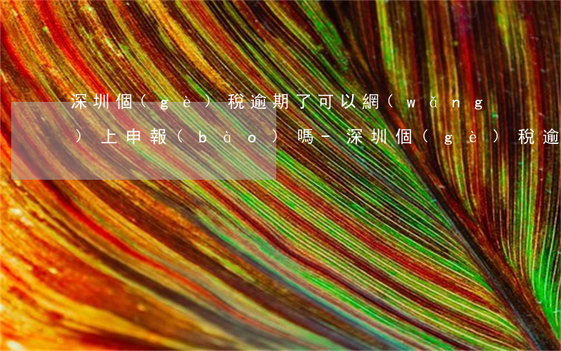 深圳個(gè)稅逾期了可以網(wǎng)上申報(bào)嗎-深圳個(gè)稅逾期了可以網(wǎng)上申報(bào)嗎怎么申請