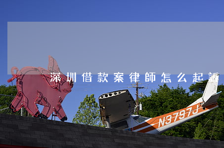 深圳借款案律師怎么起訴(欠款案件律師)
