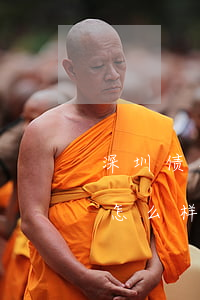 深圳债务律师林益沛-深圳债务律师林益沛怎么样