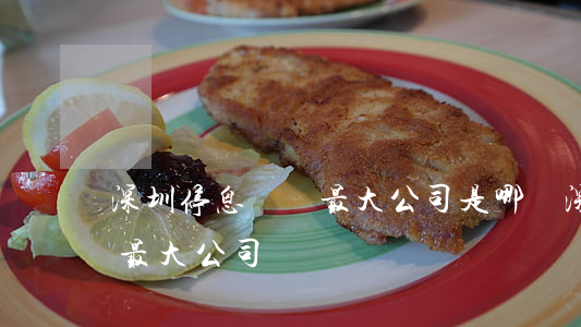 深圳停息掛賬最大公司是哪個（深圳停息掛賬最大公司）