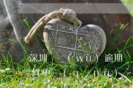 深圳債務(wù)逾期債務(wù)重組如何申請(qǐng)-深圳債務(wù)逾期債務(wù)重組如何申請(qǐng)執(zhí)行