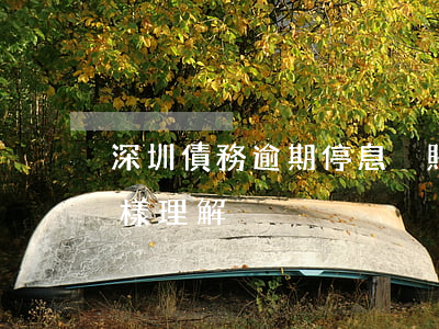 深圳債務逾期停息掛賬后果(停帳掛息逾期怎樣理解)