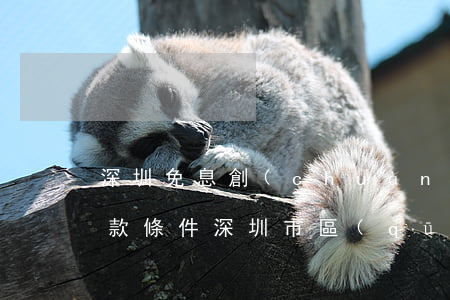 深圳免息創(chuàng)業(yè)貸款條件（深圳市區(qū)免息分期付款）