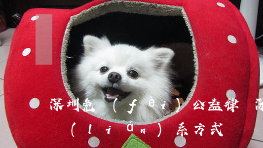 深圳免費(fèi)公益律師(深圳公益律師聯(lián)系方式)