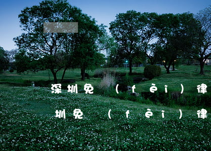 深圳免費(fèi)律師事務(wù)所(深圳免費(fèi)律師事務(wù)所)
