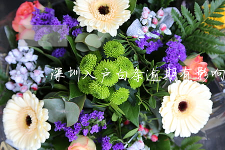 深圳入户白条逾期有影响吗
