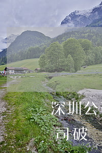 深圳公司破產(chǎn)無力償還(深圳公司破產(chǎn)欠工資怎么辦)