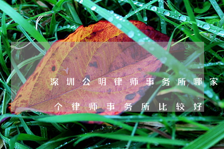 深圳公明律师事务所哪家好(深圳市龙岗区哪个律师事务所比较好)