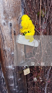 深圳公明律师事务所(深圳公明律师事务所推荐)