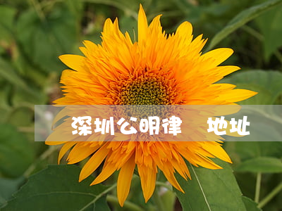 深圳公明律師地址