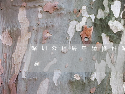 深圳公租房申請條件(深圳公租房申請條件 單身)