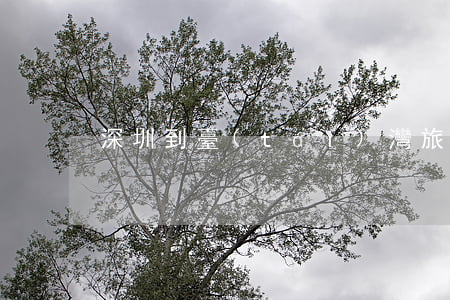 深圳到臺(tái)灣旅游
