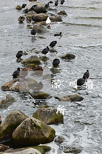 深圳前10律师事务所(深圳前10律师事务所)