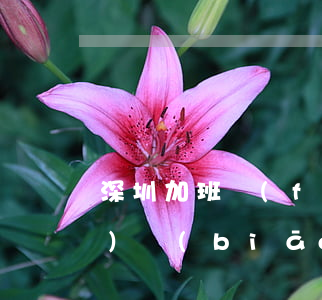 深圳加班費(fèi)(深圳加班費(fèi)標(biāo)準(zhǔn)2020)