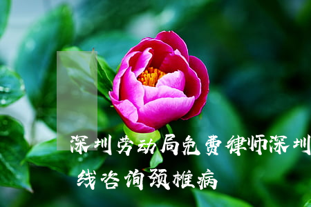 深圳劳动局免费律师(深圳劳动局免费律师在线咨询颈椎病)