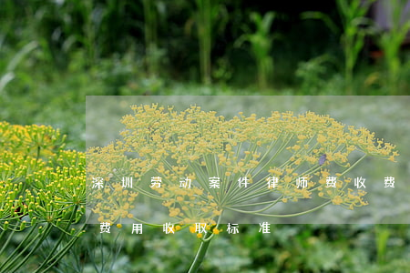 深圳劳动案件律师费收费标准(深圳律师咨询费用收取标准)