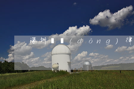 深圳勞動(dòng)律師