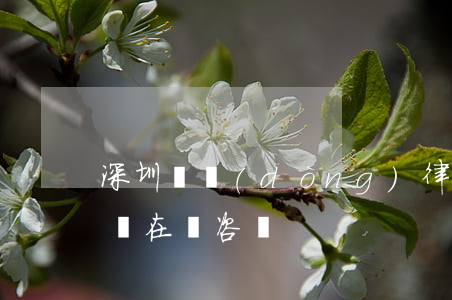 深圳勞動(dòng)律師援助(深圳援助律師在線咨詢)