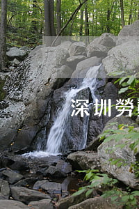 深圳勞動律師(深圳勞動律師石律師)