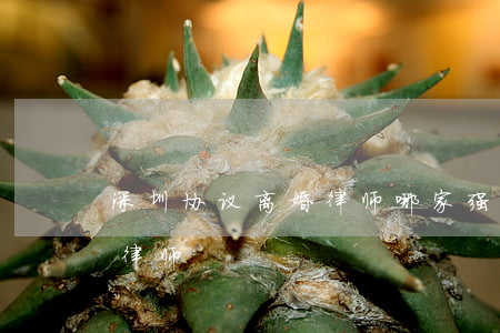 深圳协议离婚律师哪家强(深圳最有名气离婚律师)