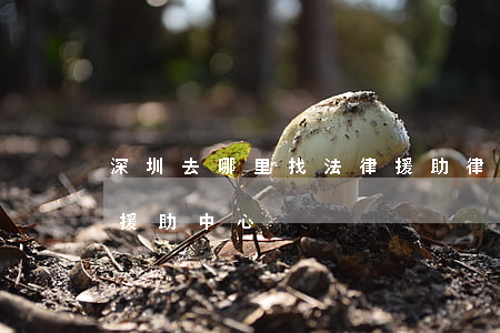 深圳去哪里找法律援助律師(深圳哪里有法律援助中心)