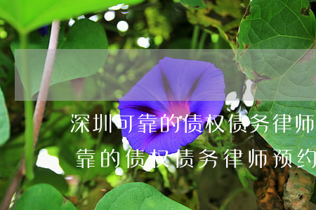 深圳可靠的债权债务律师预约电话-深圳可靠的债权债务律师预约电话是多少?