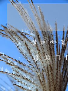 深圳哪里有公益律師(深圳公益律師免費法律援助電話)