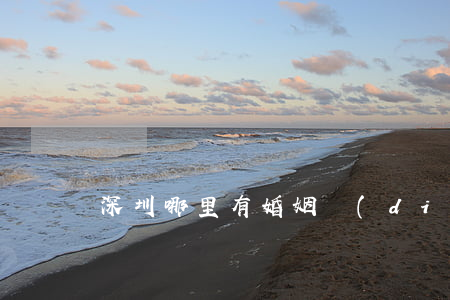 深圳哪里有婚姻調(diào)解中心