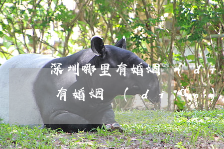 深圳哪里有婚姻調(diào)解中心(哪里有婚姻調(diào)解機構(gòu))