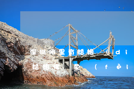 深圳哪里有婚姻調(diào)解中心(深圳婚姻律師免費(fèi)咨詢熱線)